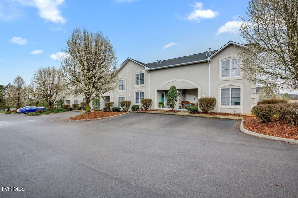 Photo of 175 Bentley Parc #175, Johnson City, TN 37615 (MLS # 9992335)