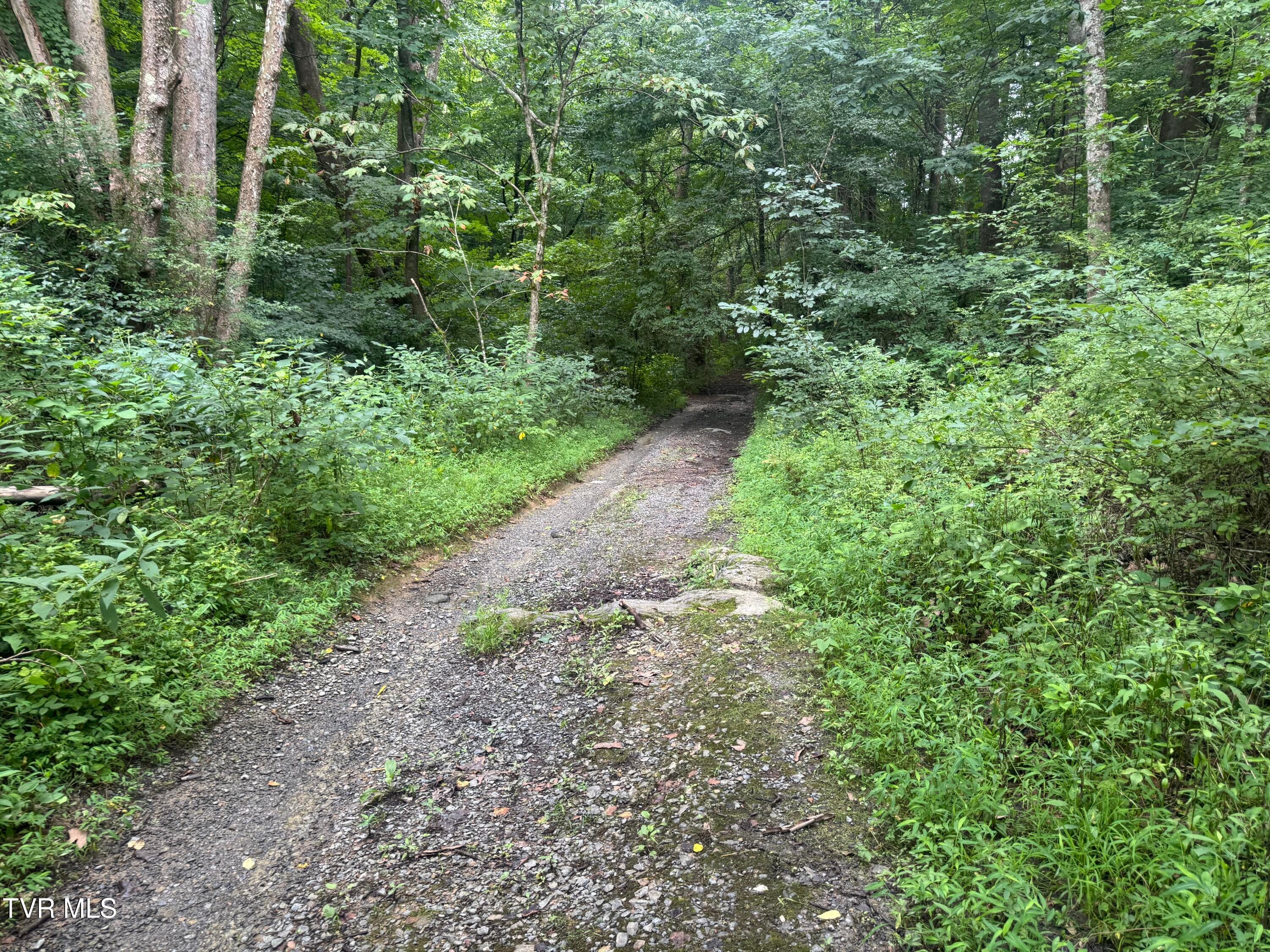 Tbd Pocahontas Trail