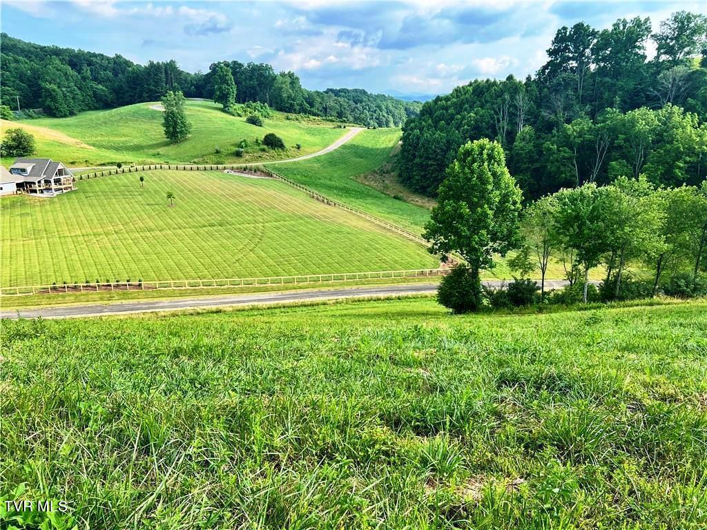 Lot 15/79 Silver Oak Trail, Butler, Tennessee image 8