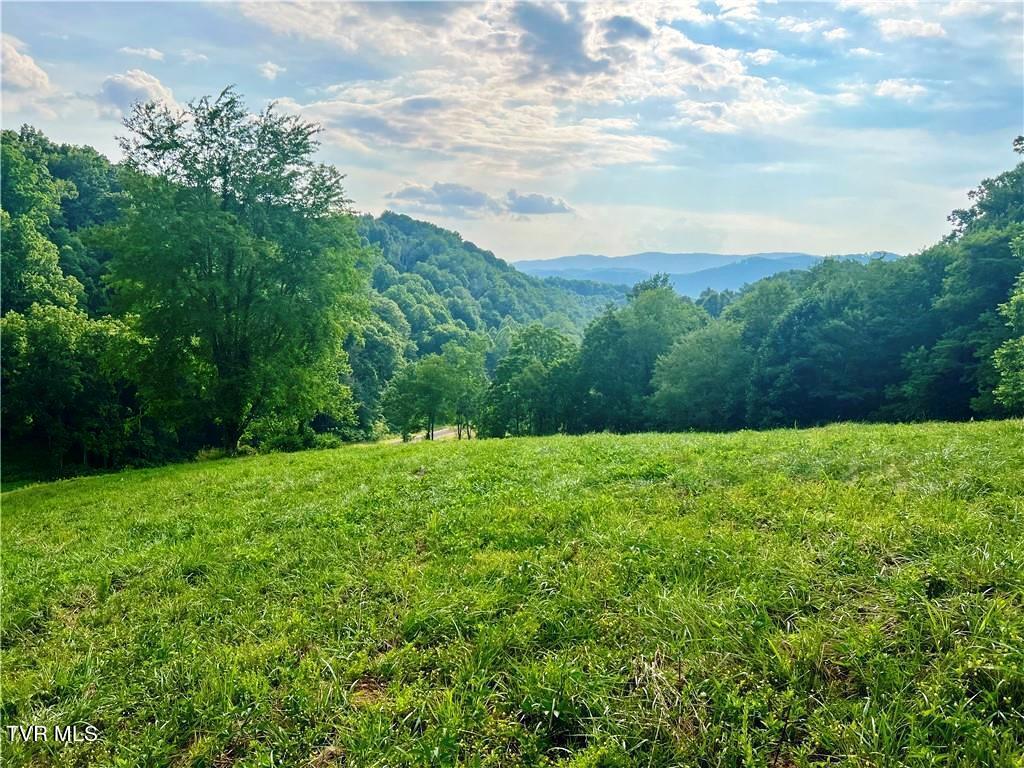 Lot 15/79 Silver Oak Trail, Butler, Tennessee image 3