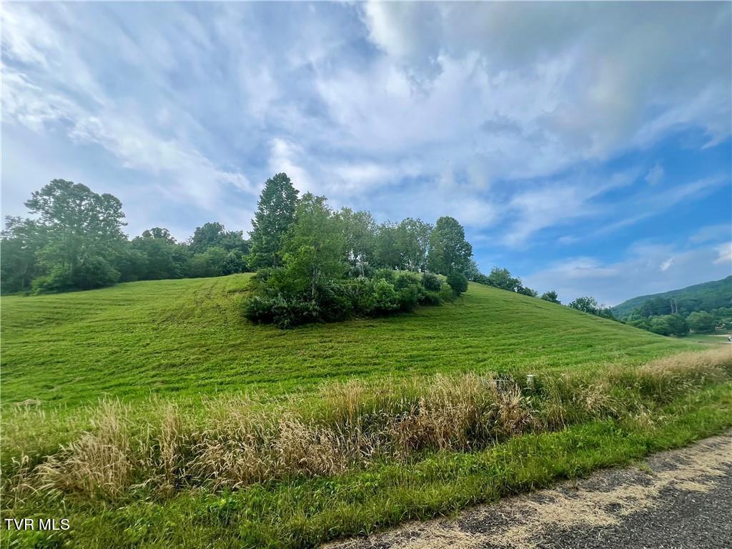Lot 15/79 Silver Oak Trail, Butler, Tennessee image 5