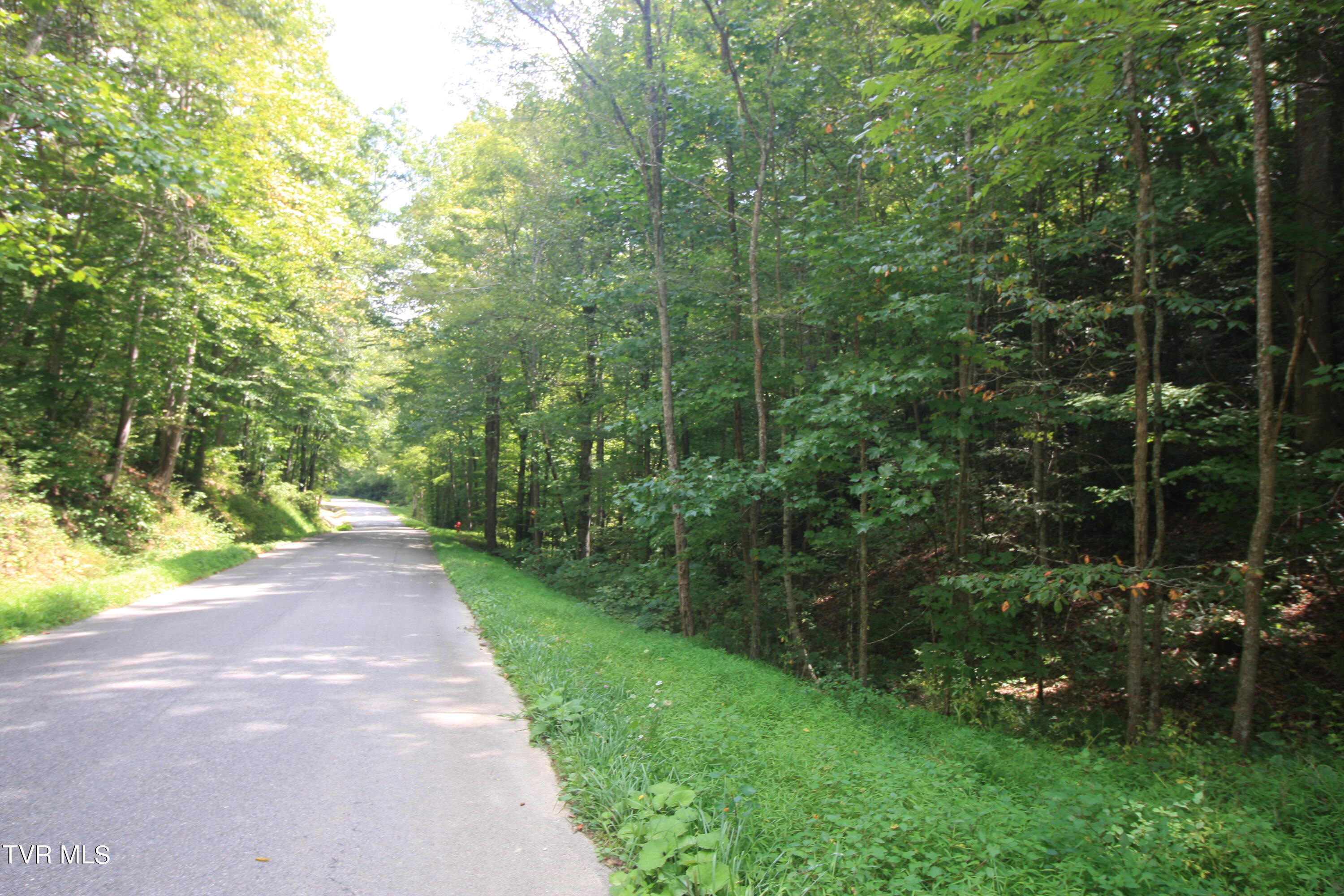 Tbd Murray Rd., Marion, Virginia image 1