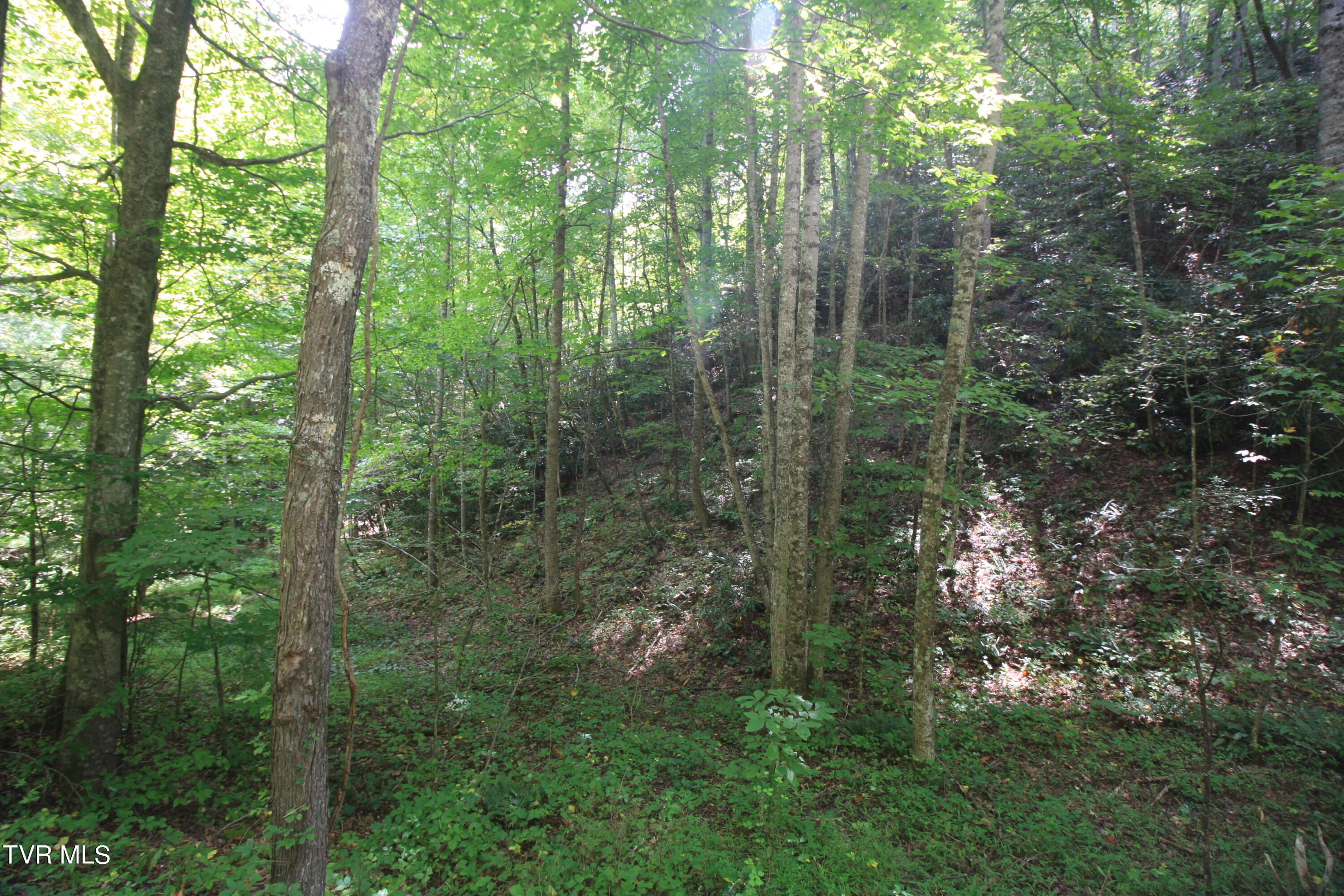 Tbd Murray Rd., Marion, Virginia image 4
