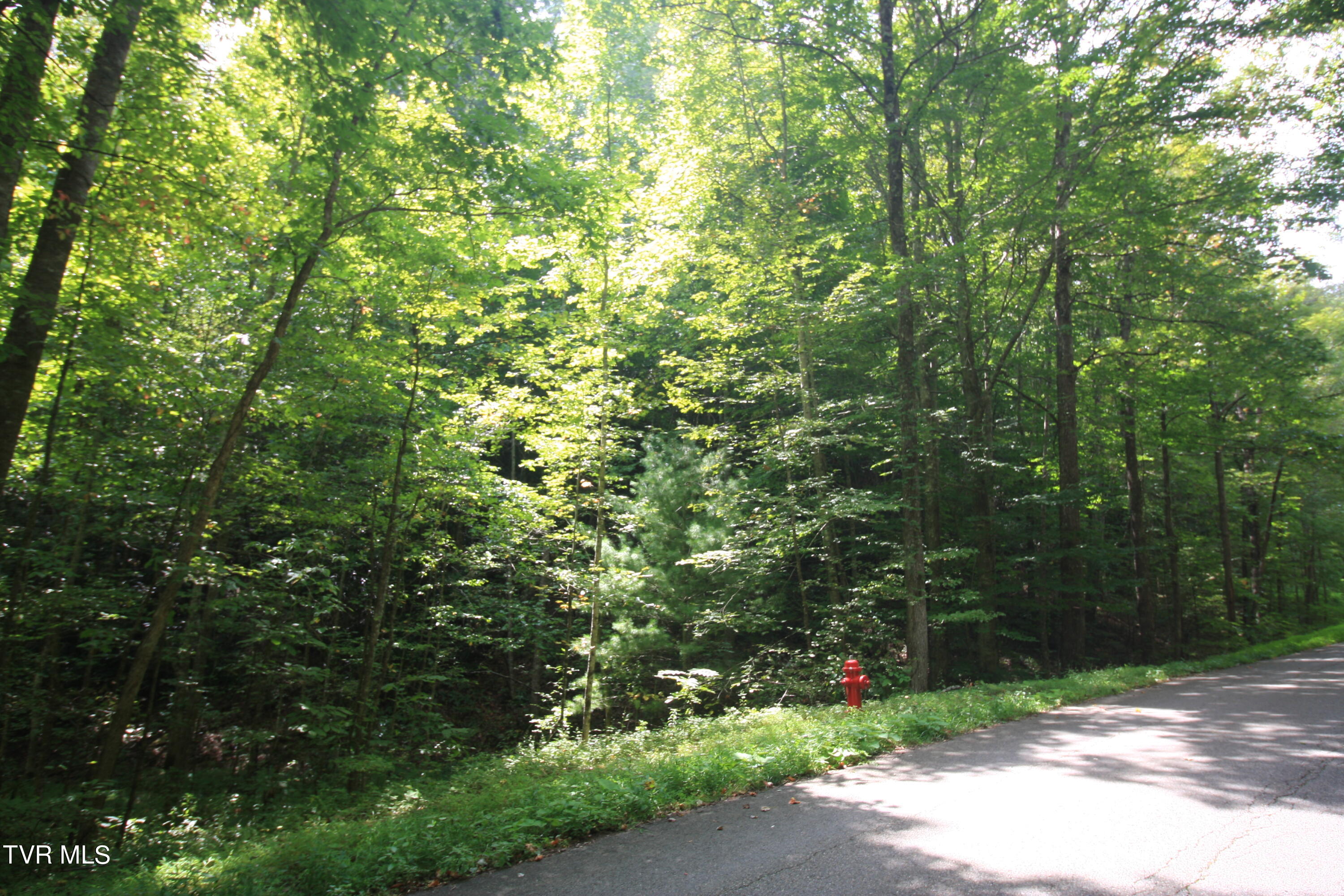 Tbd Murray Rd., Marion, Virginia image 5