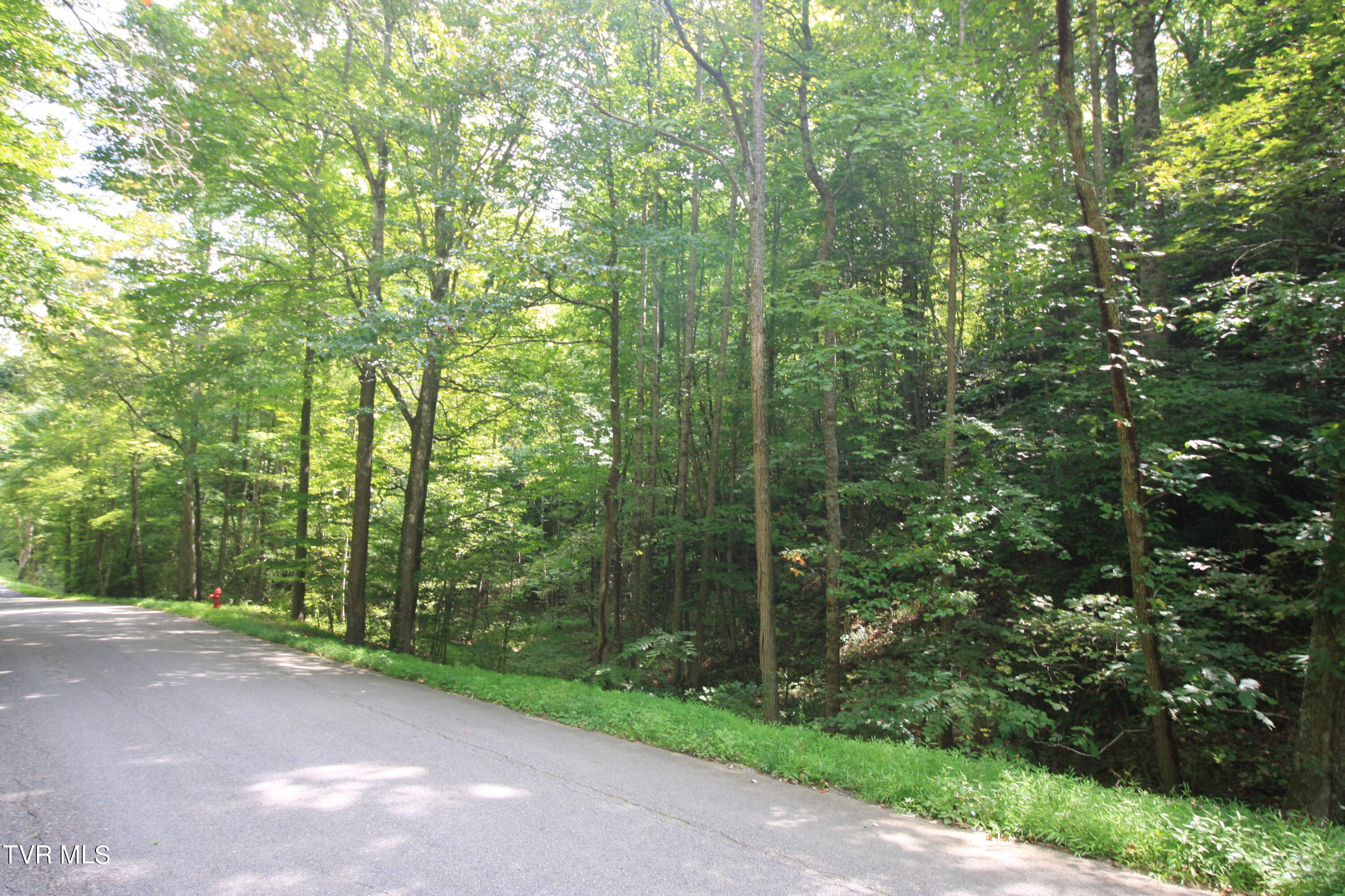Tbd Murray Rd., Marion, Virginia image 2