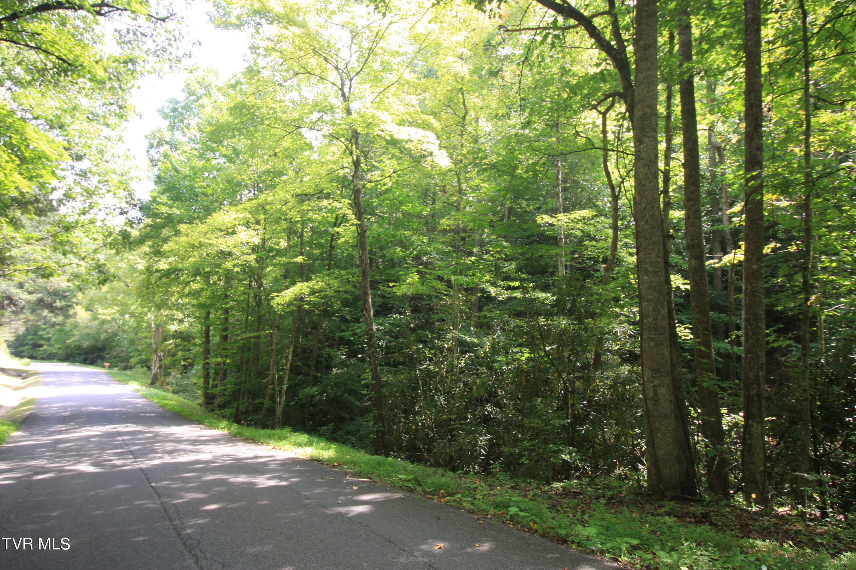 Tbd Murray Rd., Marion, Virginia image 3