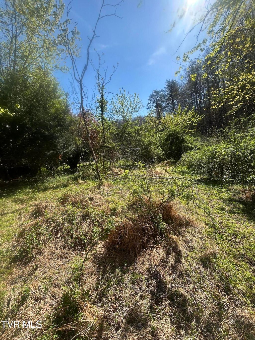 Photo of 807 Cleghorn Valley Road, Marion, VA 24354 (MLS # 9994963)