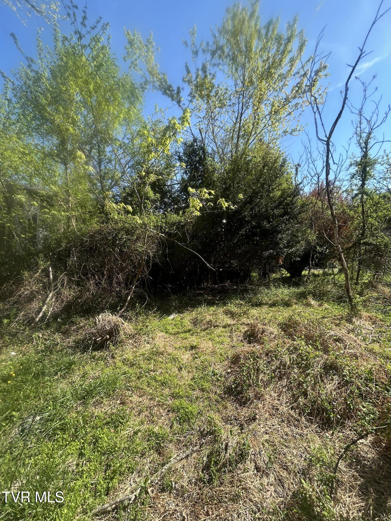 807 Cleghorn Valley Road