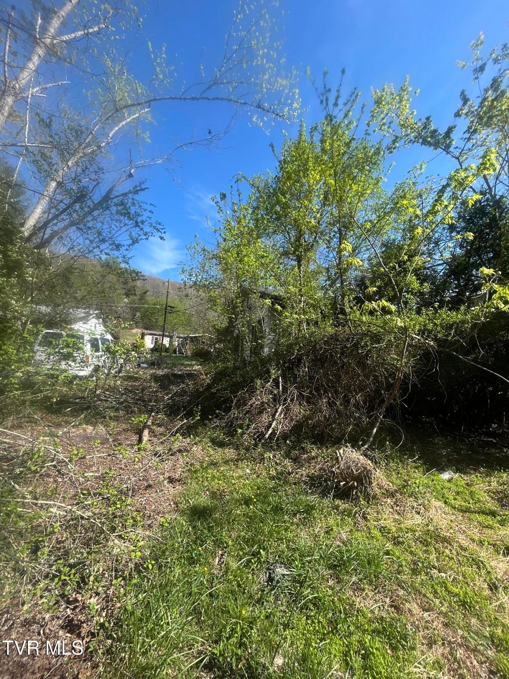 Photo of 807 Cleghorn Valley Road, Marion, VA 24354 (MLS # 9994963)