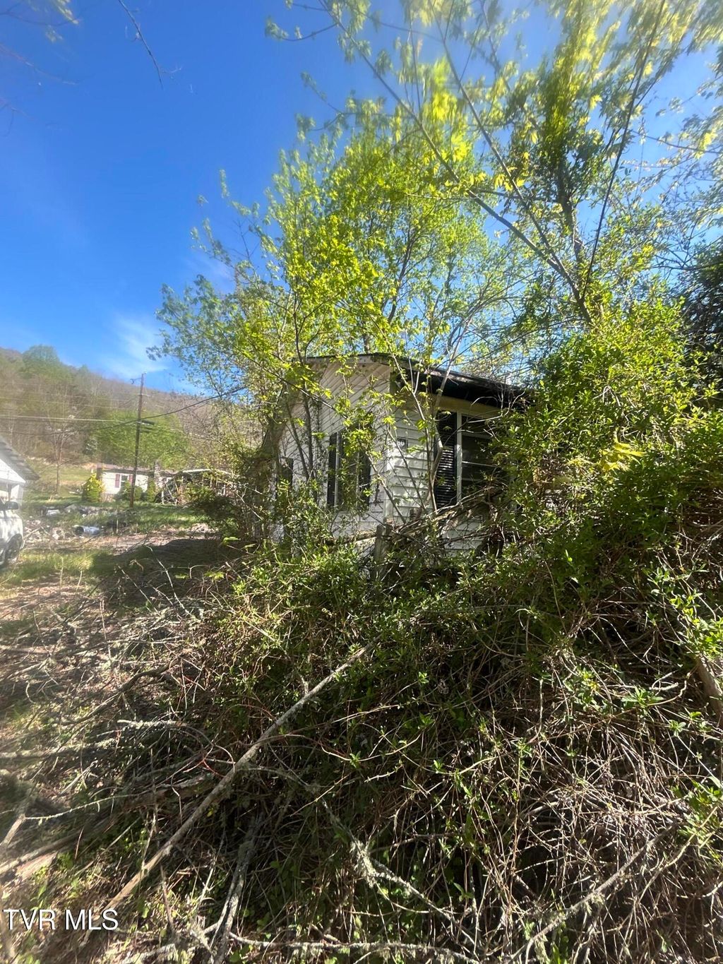 Photo of 807 Cleghorn Valley Road, Marion, VA 24354 (MLS # 9994963)