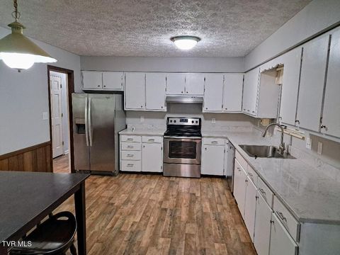 Tiny photo for 226 Heritage Hills Drive, Greeneville, TN 37745 (MLS # 9980809)