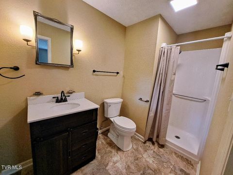 Tiny photo for 226 Heritage Hills Drive, Greeneville, TN 37745 (MLS # 9980809)