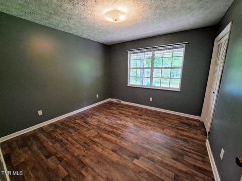 Tiny photo for 226 Heritage Hills Drive, Greeneville, TN 37745 (MLS # 9980809)