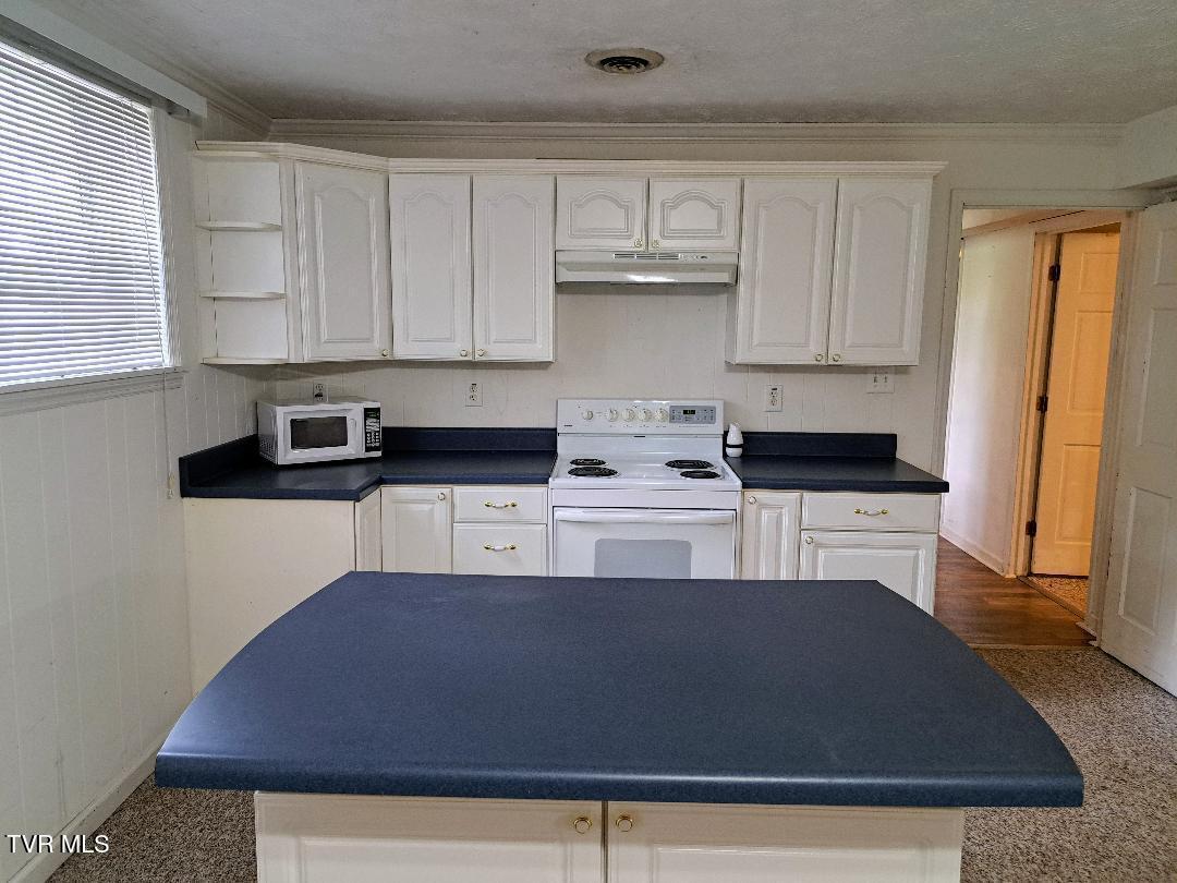 226 Heritage Hills Drive, Greeneville, Tennessee image 23