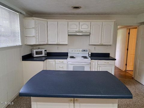 Tiny photo for 226 Heritage Hills Drive, Greeneville, TN 37745 (MLS # 9980809)