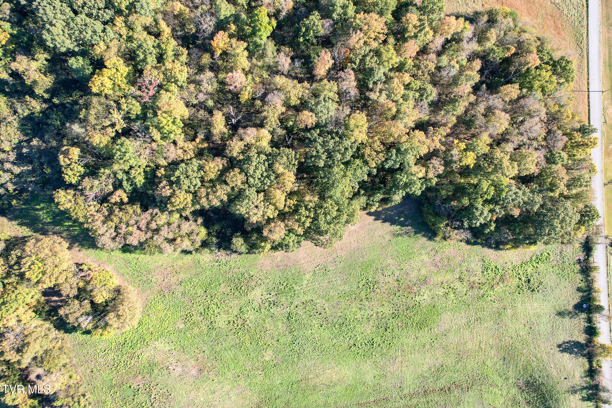 71 Ac Burkey Road, Greeneville, Tennessee image 43