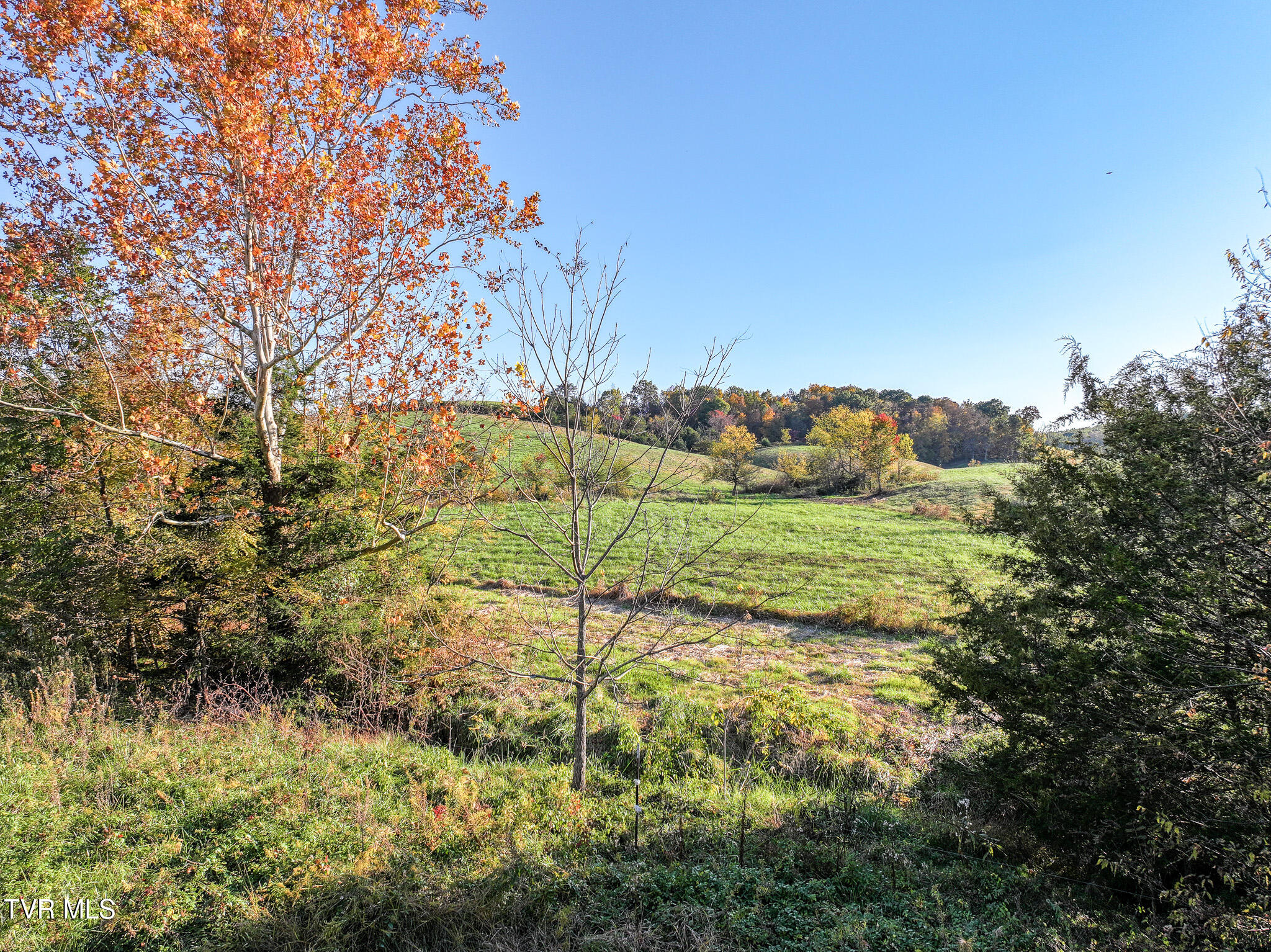 71 Ac Burkey Road, Greeneville, Tennessee image 14