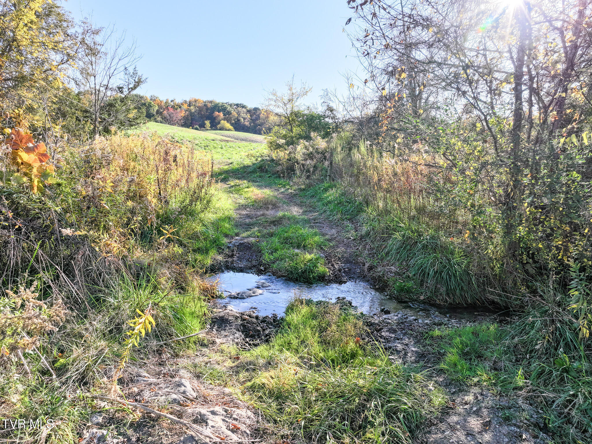 71 Ac Burkey Road, Greeneville, Tennessee image 16