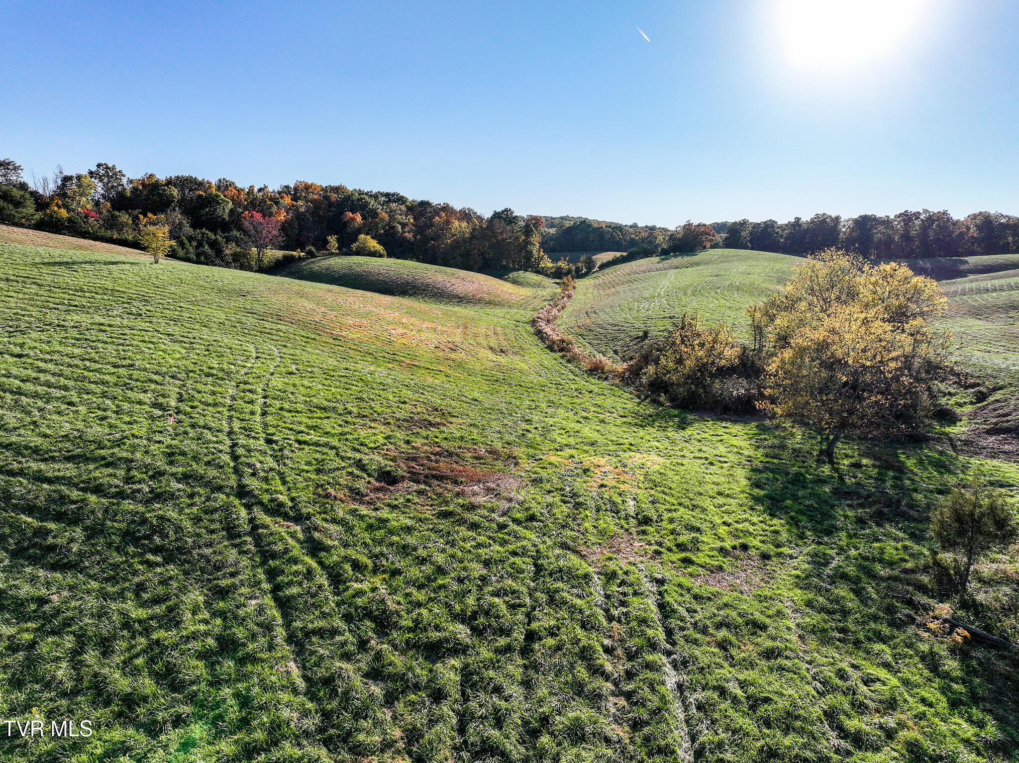 71 Ac Burkey Road, Greeneville, Tennessee image 13