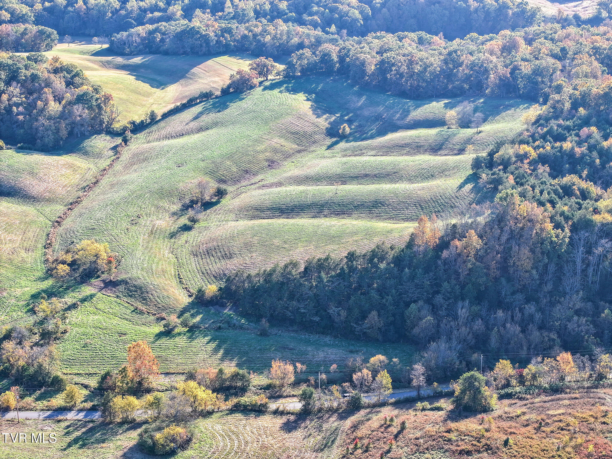 71 Ac Burkey Road, Greeneville, Tennessee image 49