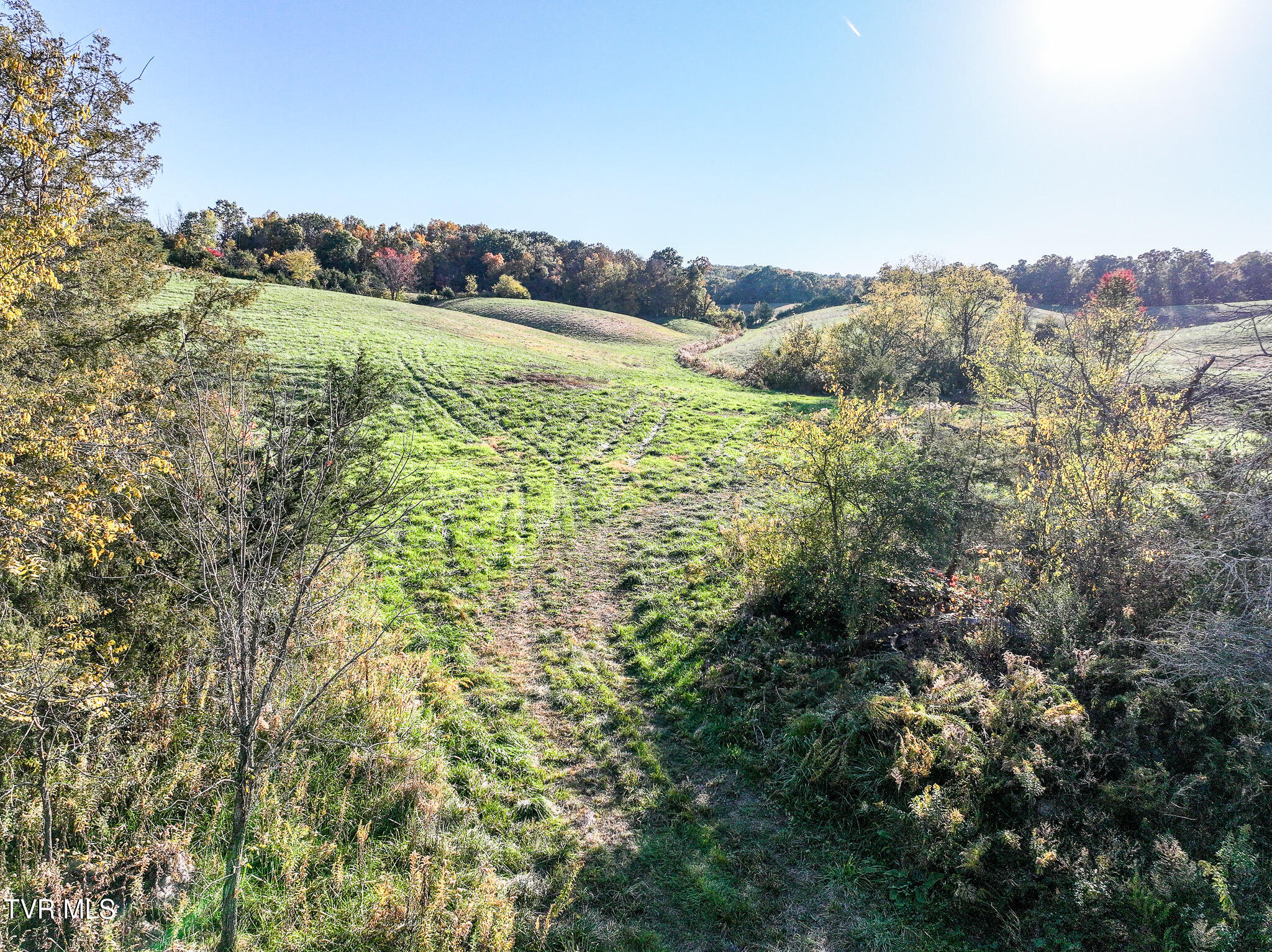 71 Ac Burkey Road, Greeneville, Tennessee image 15