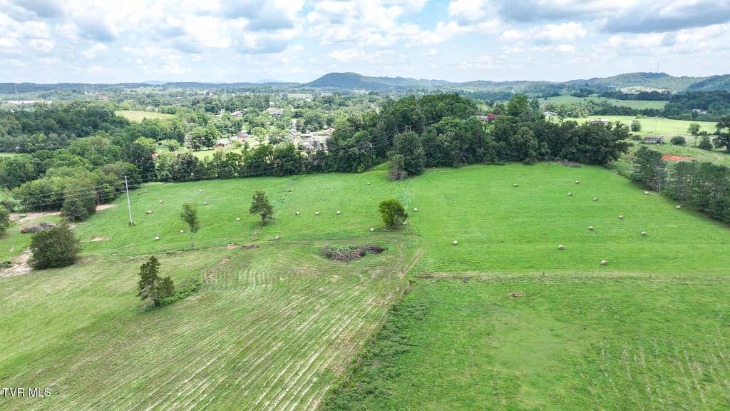 Photo of 000 Chuckey Doak Road, Afton, TN 37616 (MLS # 9998908)
