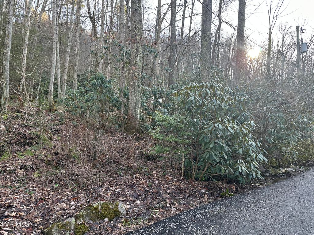 Photo of Tbd 1st Street, Norton, VA 24273 (MLS # 9976059)