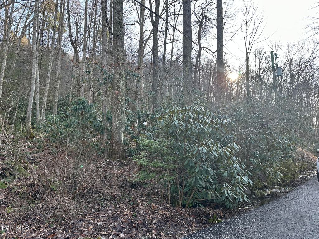 Photo of Tbd 1st Street, Norton, VA 24273 (MLS # 9976059)