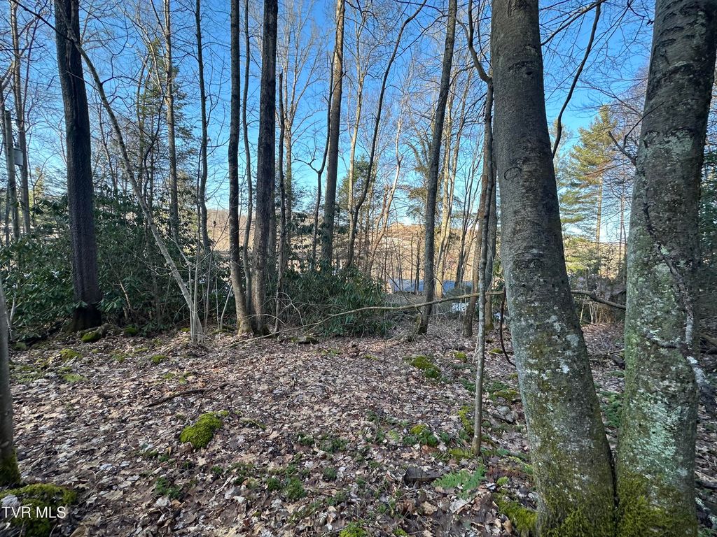 Photo of Tbd 1st Street, Norton, VA 24273 (MLS # 9976059)