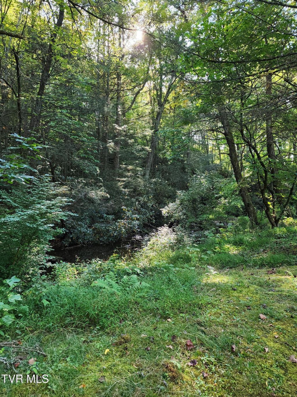 Photo of 6219 Laurel Grove Road, Norton, VA 24273 (MLS # 9986022)