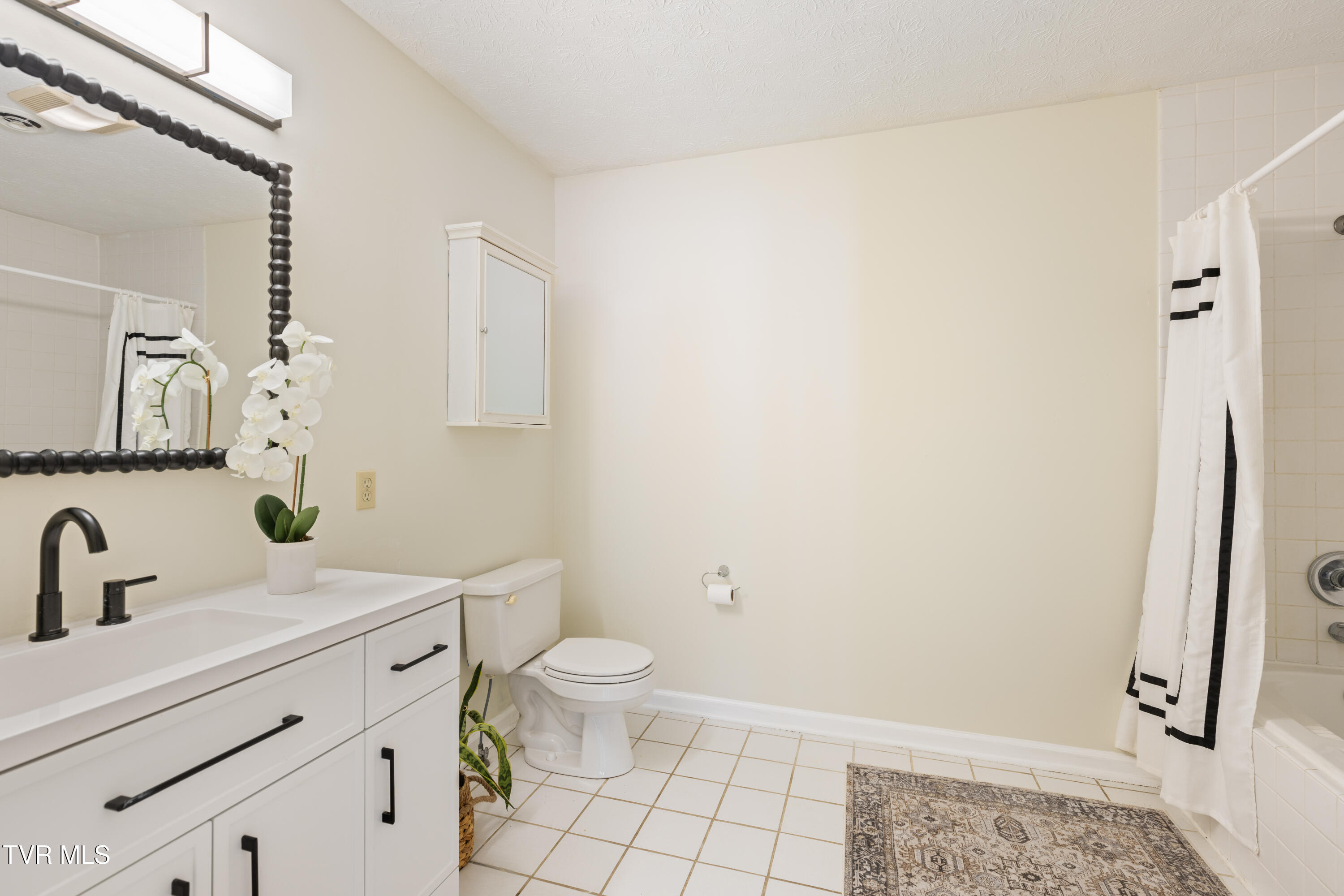 303 Church St. Street, Abingdon, Virginia image 30