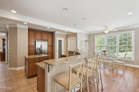 Tiny photo for 128 Reed Circle, Johnson City, TN 37601 (MLS # 9986418)