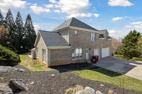 Tiny photo for 128 Reed Circle, Johnson City, TN 37601 (MLS # 9986418)