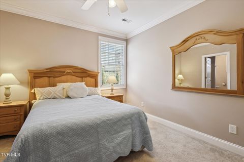 Tiny photo for 128 Reed Circle, Johnson City, TN 37601 (MLS # 9986418)