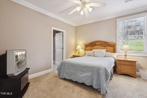 Tiny photo for 128 Reed Circle, Johnson City, TN 37601 (MLS # 9986418)