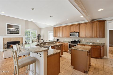 Tiny photo for 128 Reed Circle, Johnson City, TN 37601 (MLS # 9986418)