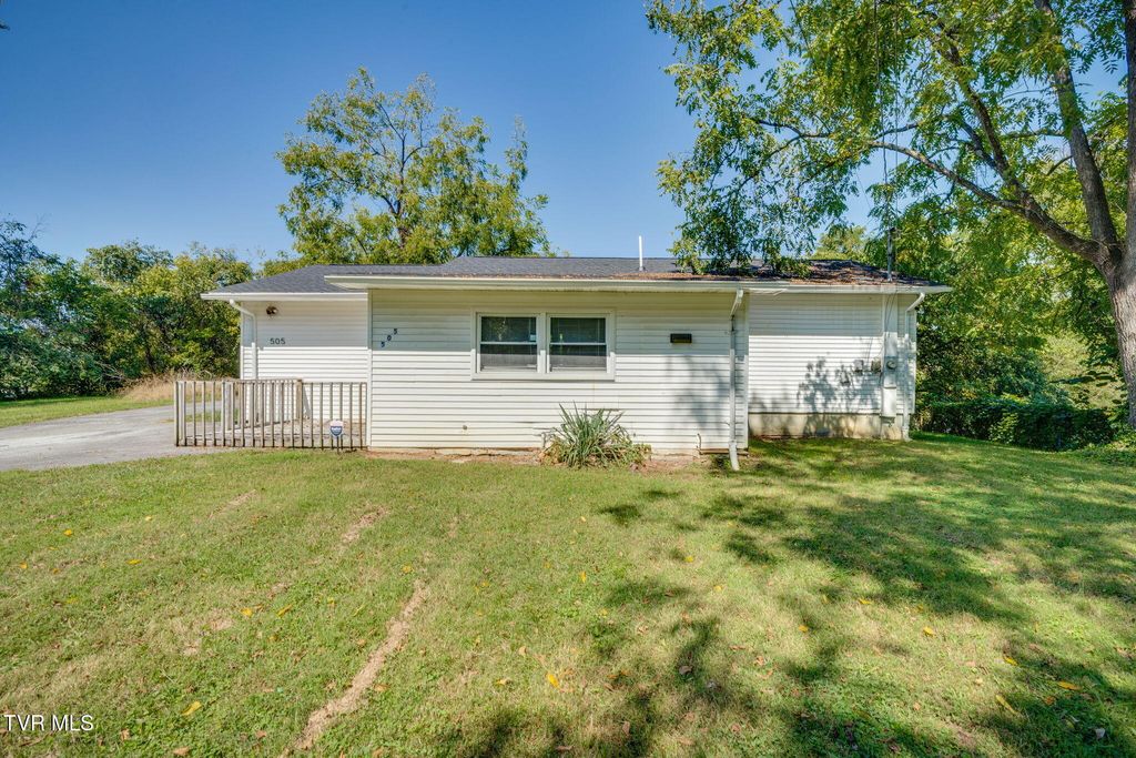 Photo of 505 Orleans Street, Johnson City, TN 37601 (MLS # 9985740)