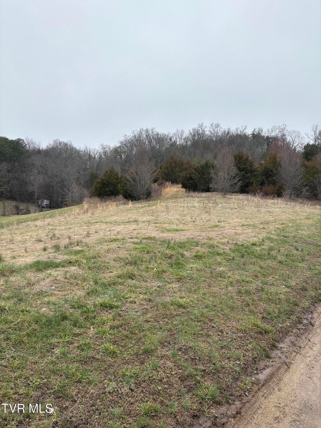 Photo of 2 Dulaney, Mosheim, TN 37818 (MLS # 9991670)