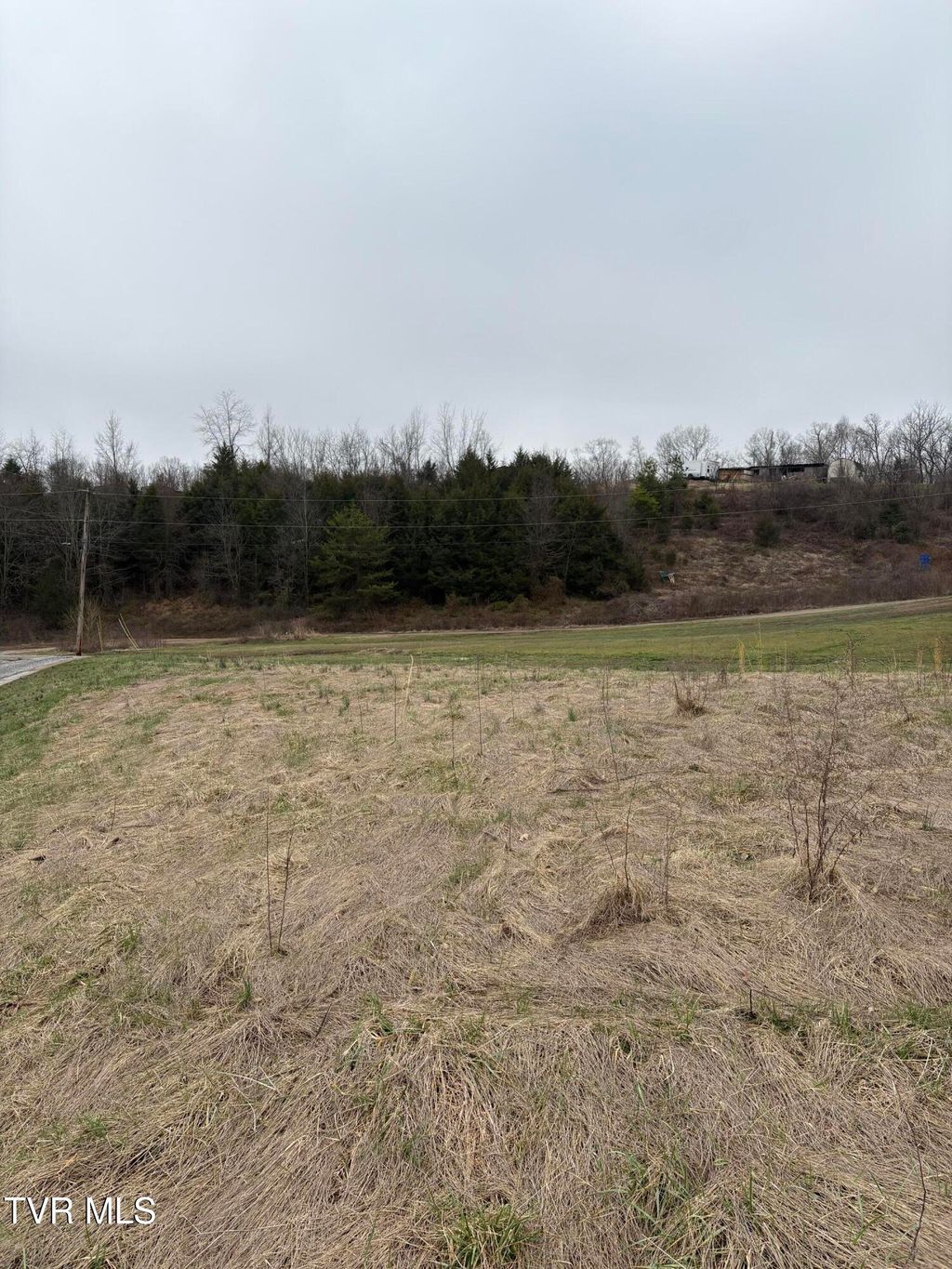 Photo of 2 Dulaney, Mosheim, TN 37818 (MLS # 9991670)