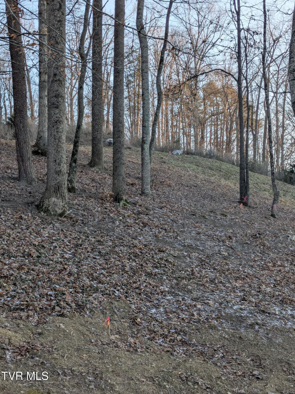 Photo of 173 Pickens Road, Kingsport, TN 37663 (MLS # 9989266)