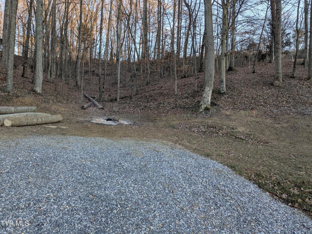 Photo of 173 Pickens Road, Kingsport, TN 37663 (MLS # 9989266)