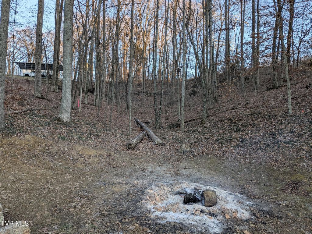 Photo of 173 Pickens Road, Kingsport, TN 37663 (MLS # 9989266)