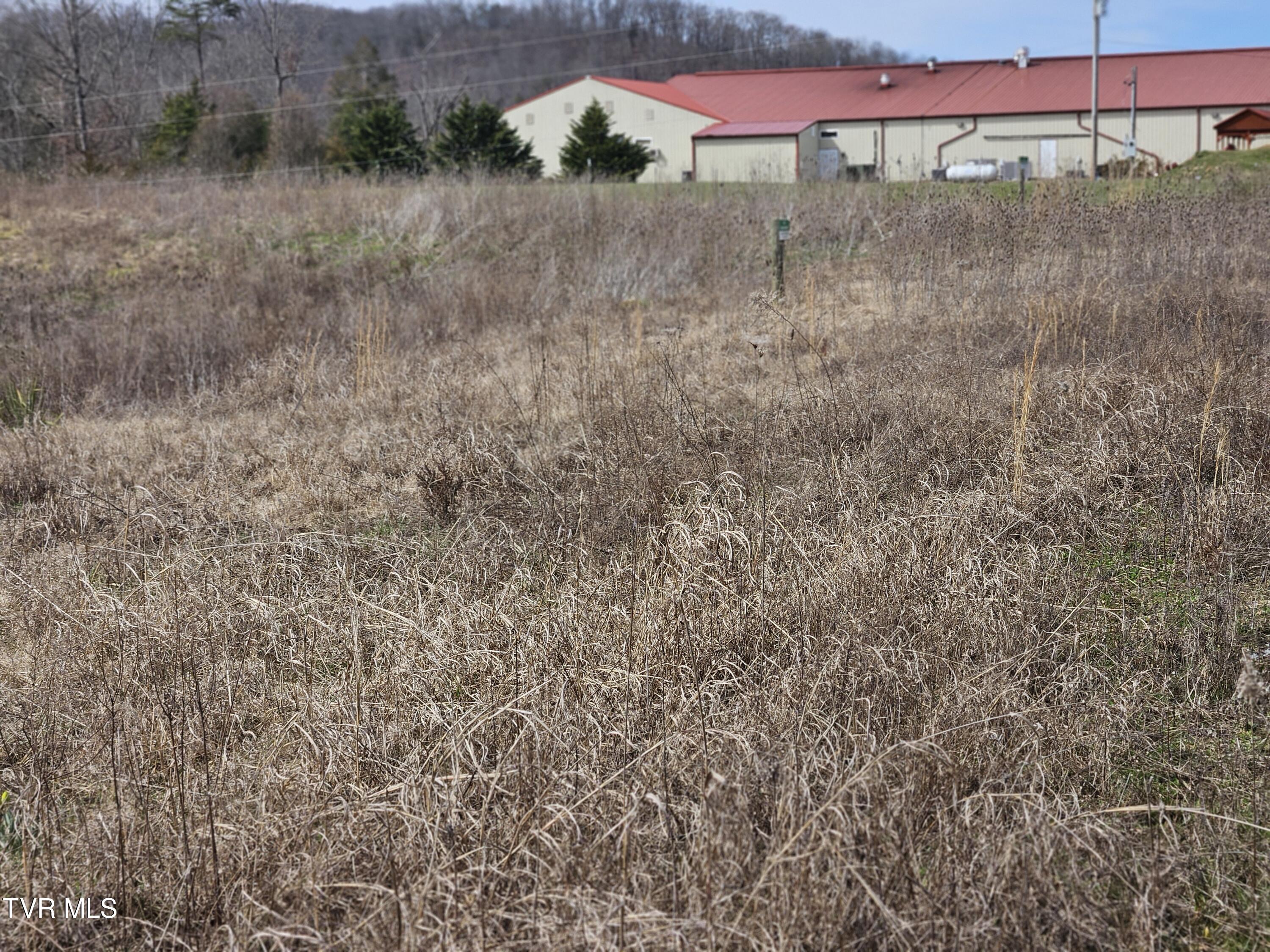 W Andrew Johnson Hwy, Mosheim, Tennessee image 6
