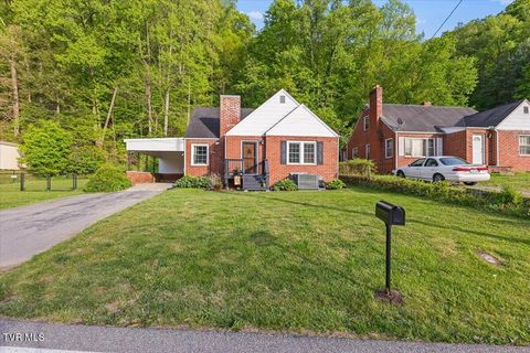 Photo of 161 Hemlock Road, Kingsport, TN 37663 (MLS # 9994446)