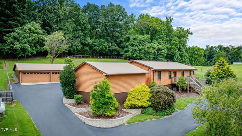 Photo of 285 Spurgeon Road, Blountville, TN 37617 (MLS # 9990228)