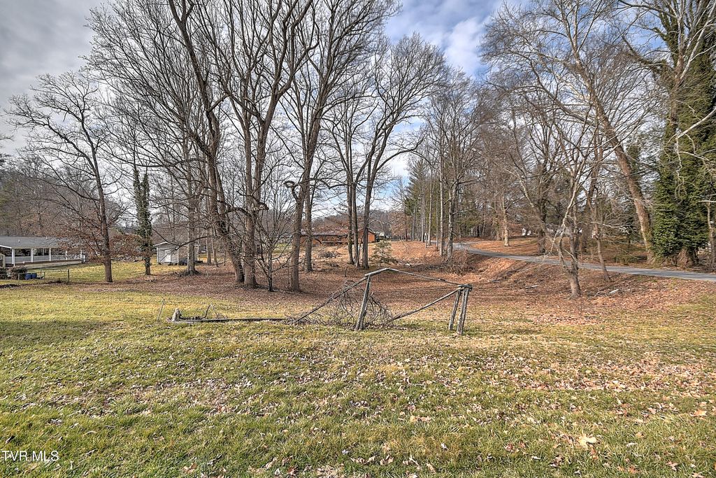 Photo of Tbd Pamela Court, Blountville, TN 37617 (MLS # 9991695)