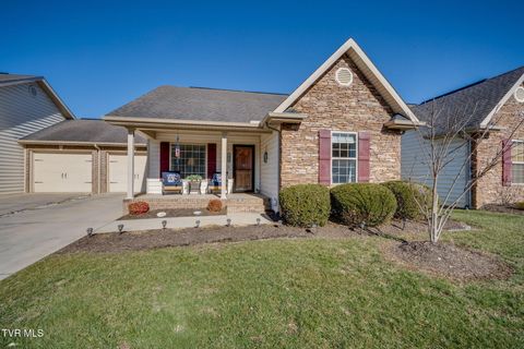 Photo of 1023 Appaloosa Trail, Johnson City, TN 37604 (MLS # 9990489)