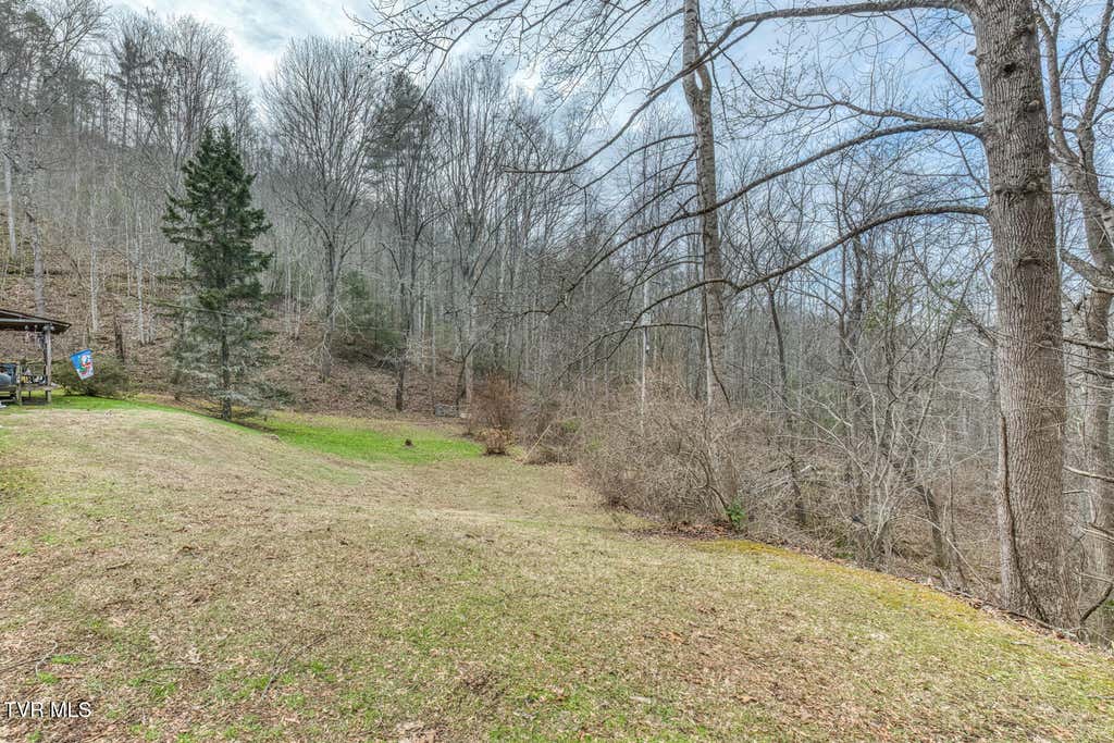 Photo of 902 R D Campbell Road, Butler, TN 37640 (MLS # 9999132)