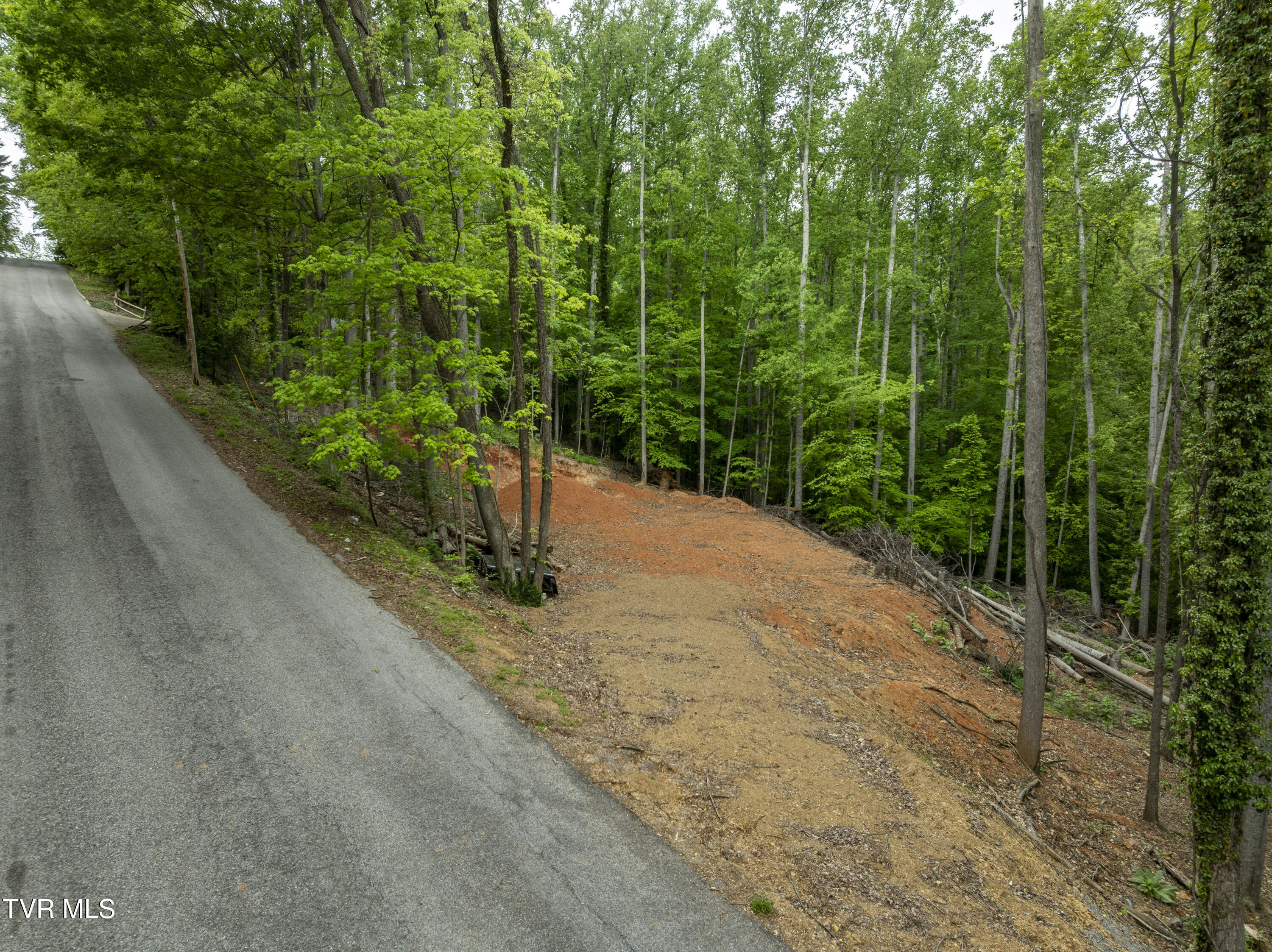Lot 6 Briarwood Road, Kingsport, Tennessee image 9