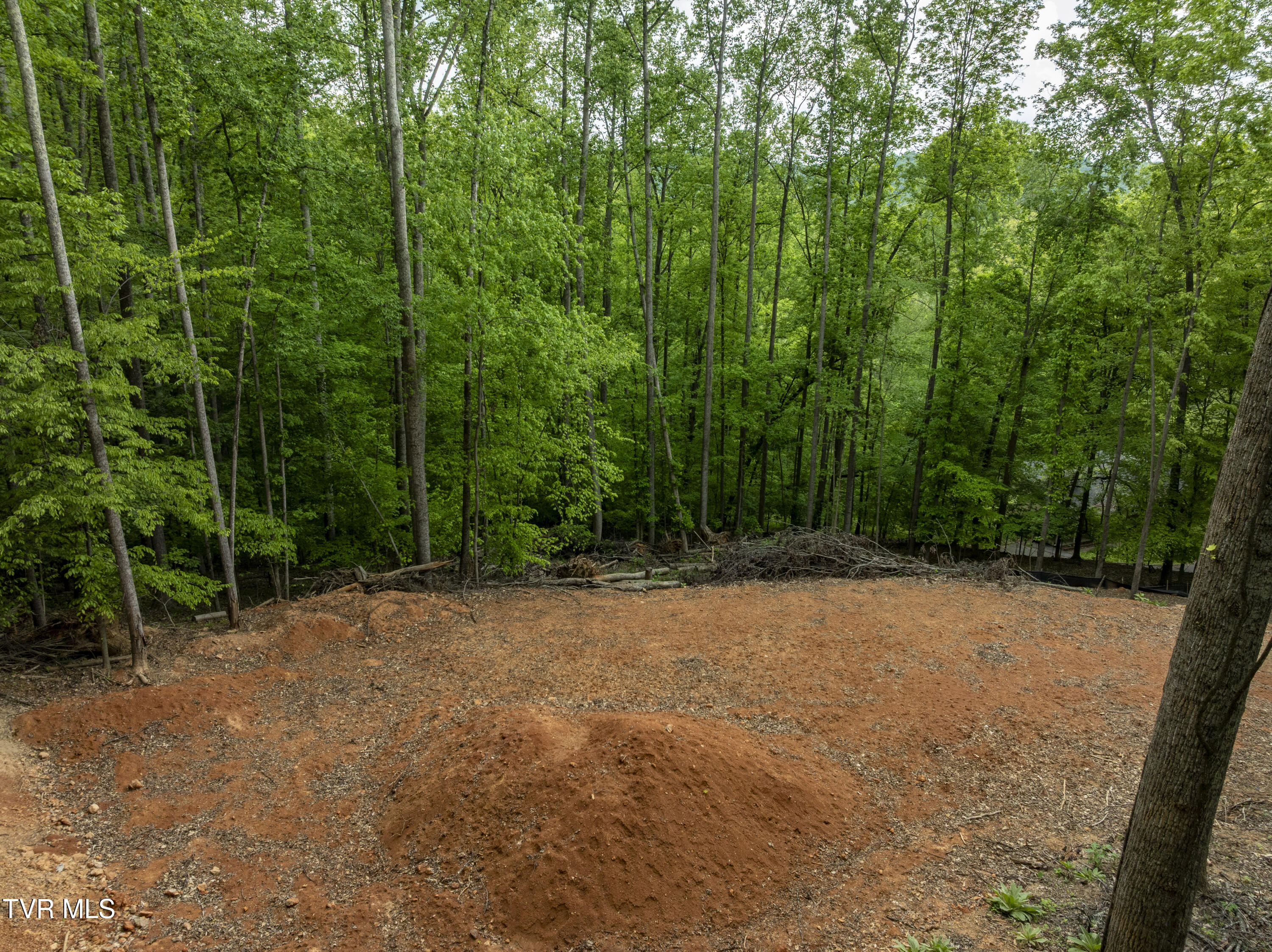 Lot 6 Briarwood Road, Kingsport, Tennessee image 6